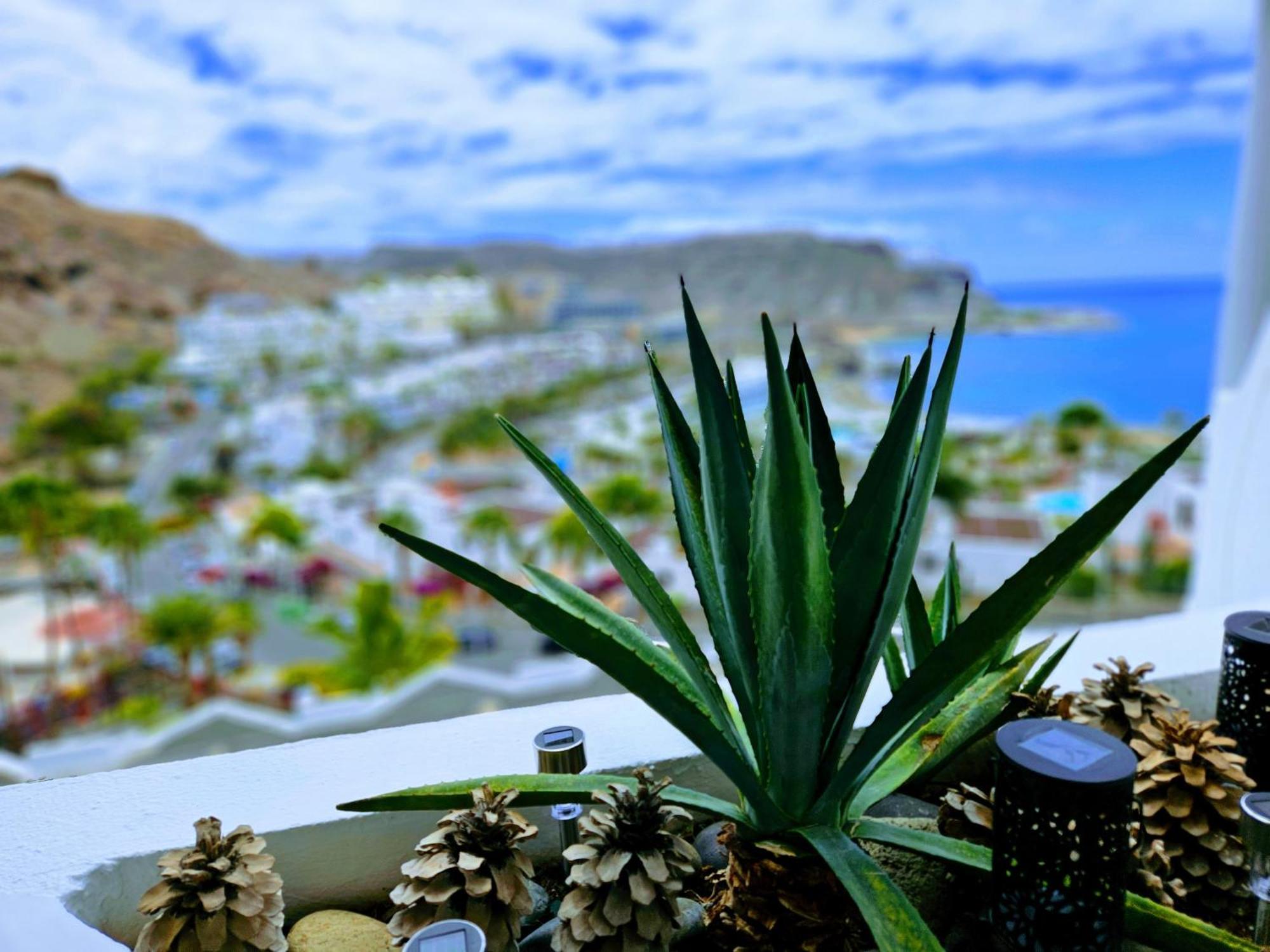Flor Ocean View